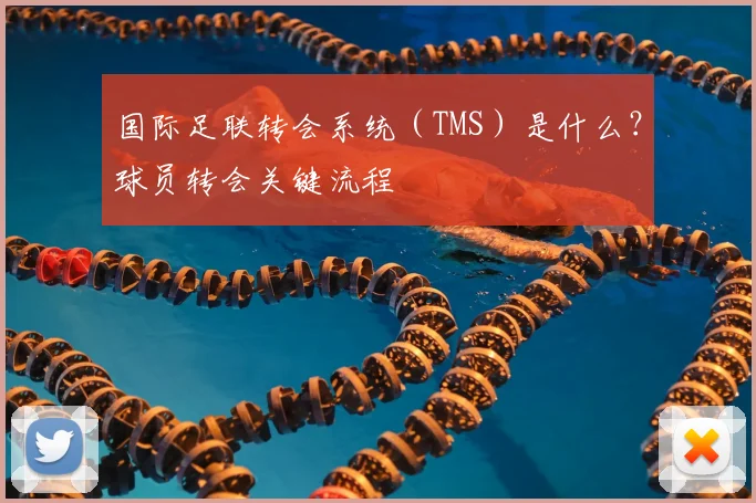 国际足联转会系统（TMS）是什么？球员转会关键流程