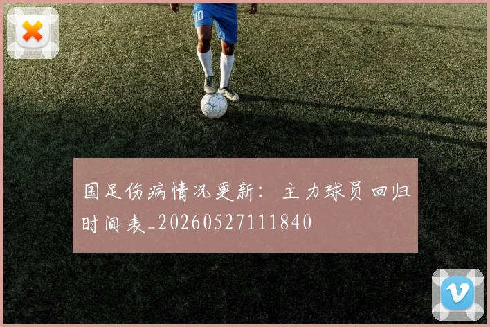 国足伤病情况更新：主力球员回归时间表_20260527111840