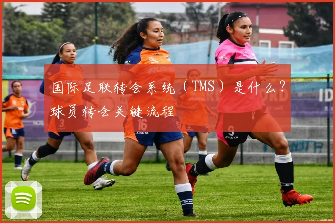 国际足联转会系统（TMS）是什么？球员转会关键流程