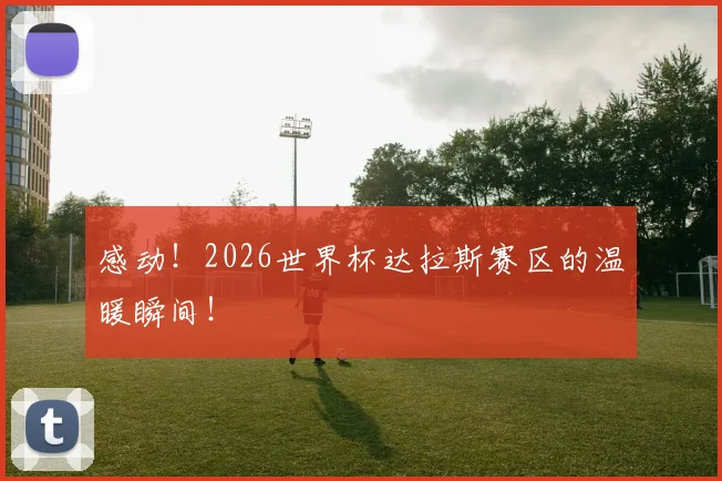 感动！2026世界杯达拉斯赛区的温暖瞬间！