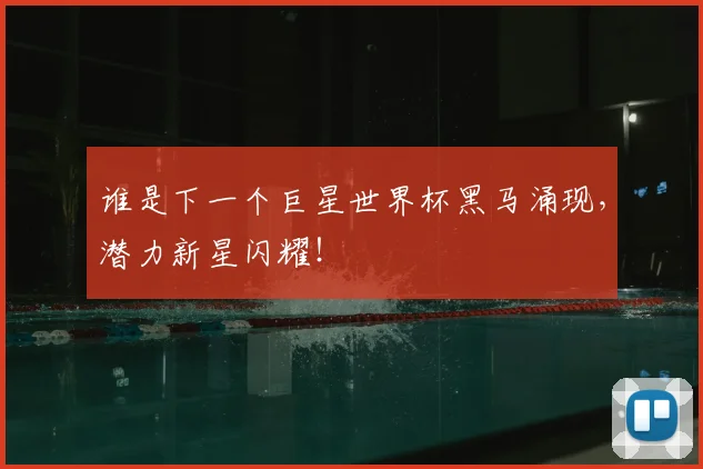 谁是下一个巨星世界杯黑马涌现,潜力新星闪耀!